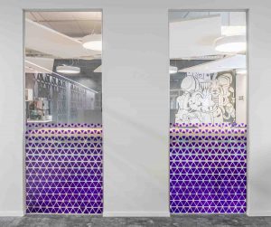 אינקפסולה