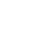 חברה ממשלתית