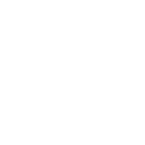 טוטאל מדיה