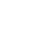 פיוניר