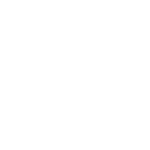 BLUESNAP