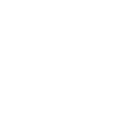 ForcePoint