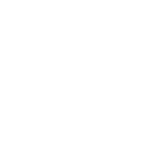 פרויקט רוטשטיין