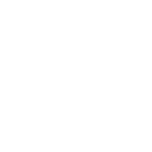 מירור ביו