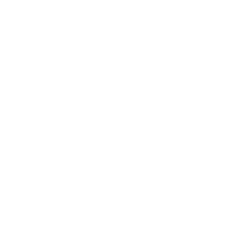 פאלו אלטו אמסטרדם